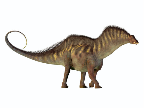Amargasaurus Side Profile - Amargasaurus was a herbivorous sauropod dinosaur that lived in Argentina in the Cretaceous Period.