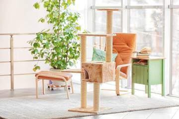 Cat tree in room interior