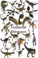 Feathered Dinosaurs - A collection of various feathered dinosaurs from different prehistoric periods of Earth's history. © Catmando