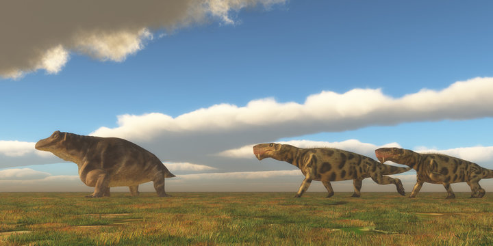Permian Inostrancevia hunts Keratocephalus - Two Inostrancevia dinosaurs go after a Keratocephalus on a grassy plain in the Permian Period.