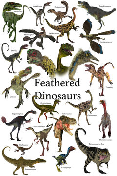 Feathered Dinosaurs - A collection of various feathered dinosaurs from different prehistoric periods of Earth's history.