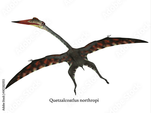 flying reptile quetzalcoatlus