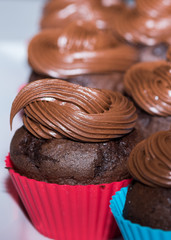Close up of chocolate cup cake
