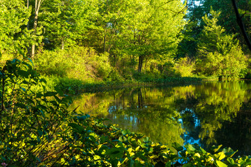 Ohio pond in evening evening sunlight © Kenneth Sponsler
