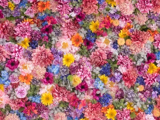 Poster Im Rahmen Mehrfarbiger Blumenwandhintergrund © Tetsuya
