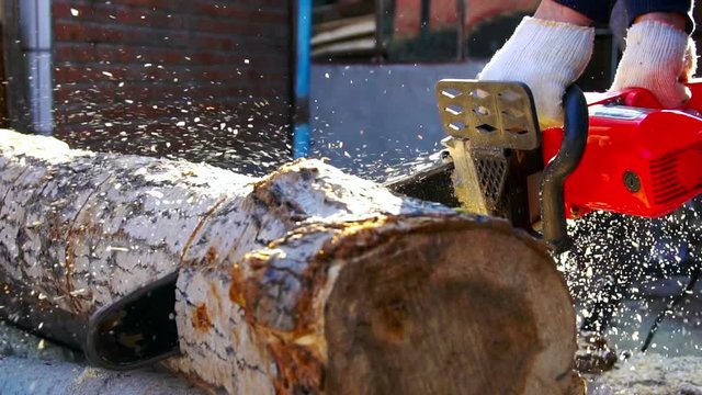 Man Holding Chainsaw. Slow motion