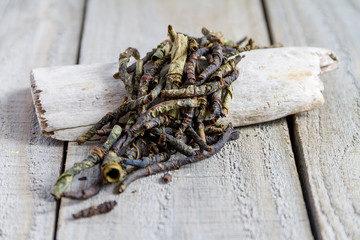 Pile of dried magnolia vine (green tea) on a wood background. Selective focus