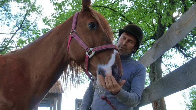The rider is combing the mane of a horse