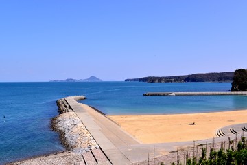 長崎鼻の菜の花