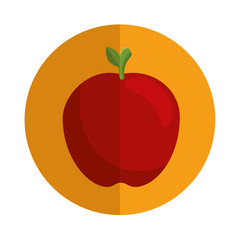 apple fresh fruit icon vector illustration design