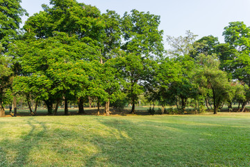 Beautiful Public green park ,Vachirabenjatas Park (Rot Fai Park) Bangkok Thailand.