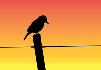 Silhouette of an animal