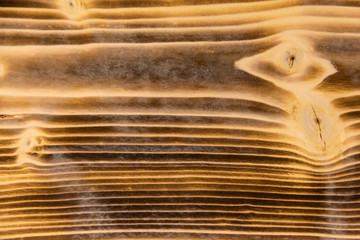 Wood texture. Lining boards wall. Wooden background pattern.