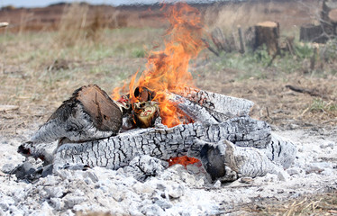 Bonfire in the nature. Picnic.