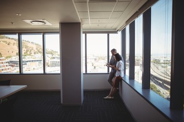 Business executives using laptop near the window