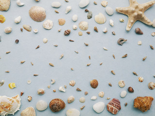 Paper blue background with seashells, stones and sea star. The pattern in the marine theme.