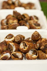 Shellfish in foam box.