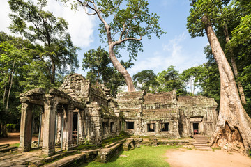Fototapeta premium Ta Prohm temple in Angkor near Siem Reap in Cambodia