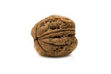 Walnut on white background. Isolated background