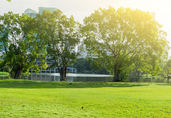 Beautiful Public green park at Vachirabenjatas Park (Rot Fai Park) Bangkok, Thailand