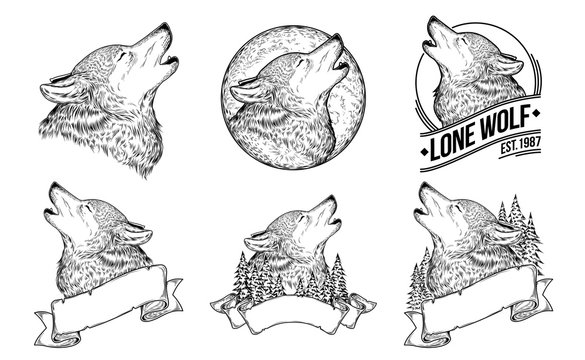 Set vector illustrations of a howling wolves with ribbon, engraving. Print for T-shirts.
