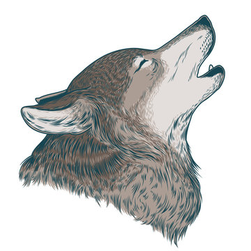 Vector illustration of a howling wolf, engraving. Print for T-shirts.