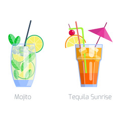Set of alcoholic cocktails isolated fruit cold drinks tropical mojito freshness and party alcohol sweet tequila vector illustration.