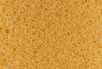 sponge as a background