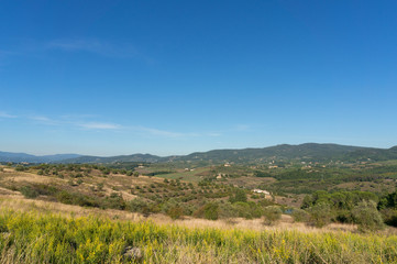 Fototapeta na wymiar Rural Tuscany landscape of olive trees and green hills
