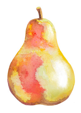 pear isolated on white watercolor illustration
