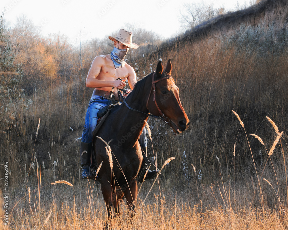 Wall mural cowboy on horseback2