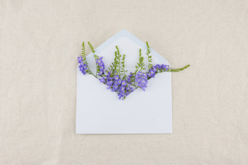 Fototapeta na wymiar Purple flowers of Duranta erecta L. in white envelop from top view