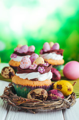 Closeup of Easter nest shape cupcakes on white wooden background