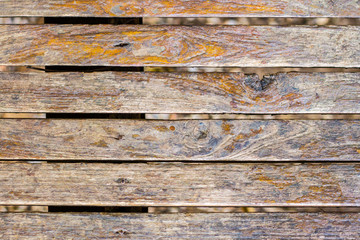 Wooden texture and background