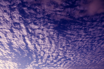 Obraz premium Pattern of white clouds streaming by wind with blue sky background 