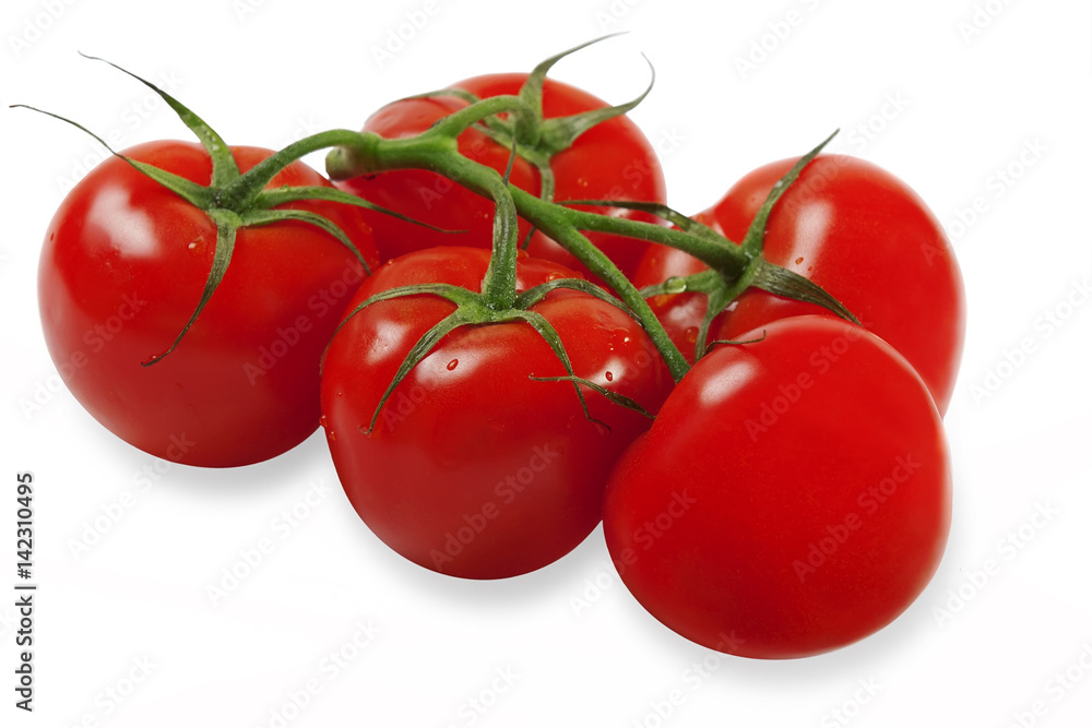 Wall mural red tomatoes on a green branch