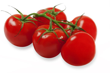 Red tomatoes on a green branch