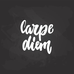 Carpe Diem - hand drawn lettering latin phrase Seize the day on the black chalkboard background. Fun brush ink inscription for photo overlays, greeting card or t-shirt print, poster design.