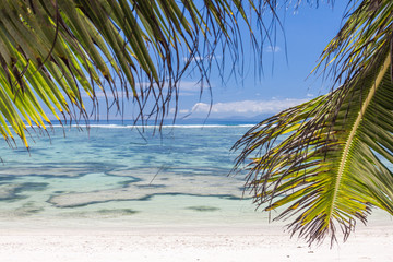Naklejka premium feinsandiger weißer traumstrand mit palmenblättern und korallen auf den seychellen