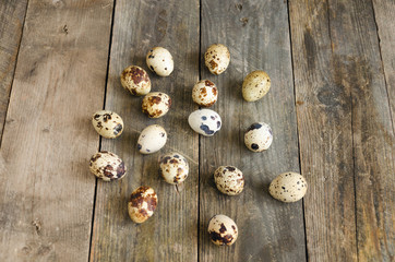 Quail eggs