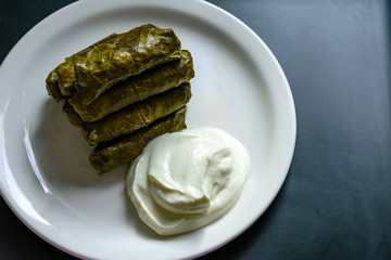Dolma and natural yogurt served on white plate