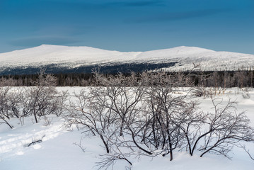 Winter landscape in Russian Lapland, Kola Peninsula