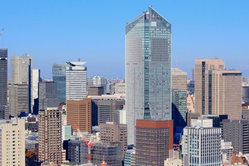 Fototapeta na wymiar Big city skyline - Tokyo, Japan