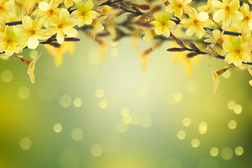 Obraz premium spring flowers background