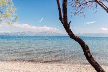 Ausblick in Griechenland auf türkises Meer mit Ast im Vordergrund