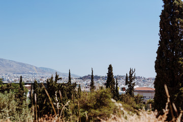 Ausblick über Athen mit Wald im Vordergrund