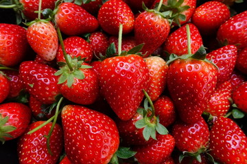 strawberry for background