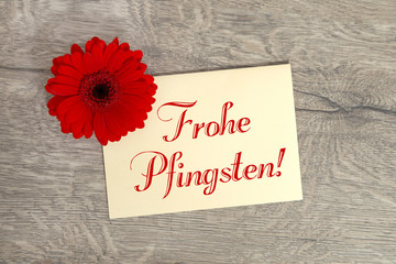 Frohe Pfingsten