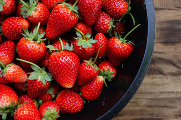 strawberry in bucket
