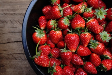 strawberry in bucket